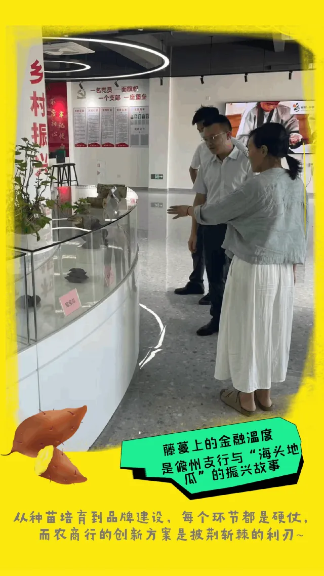 儋州支行：金融活水潤“海頭地瓜”，惠農(nóng)興產(chǎn)顯擔當