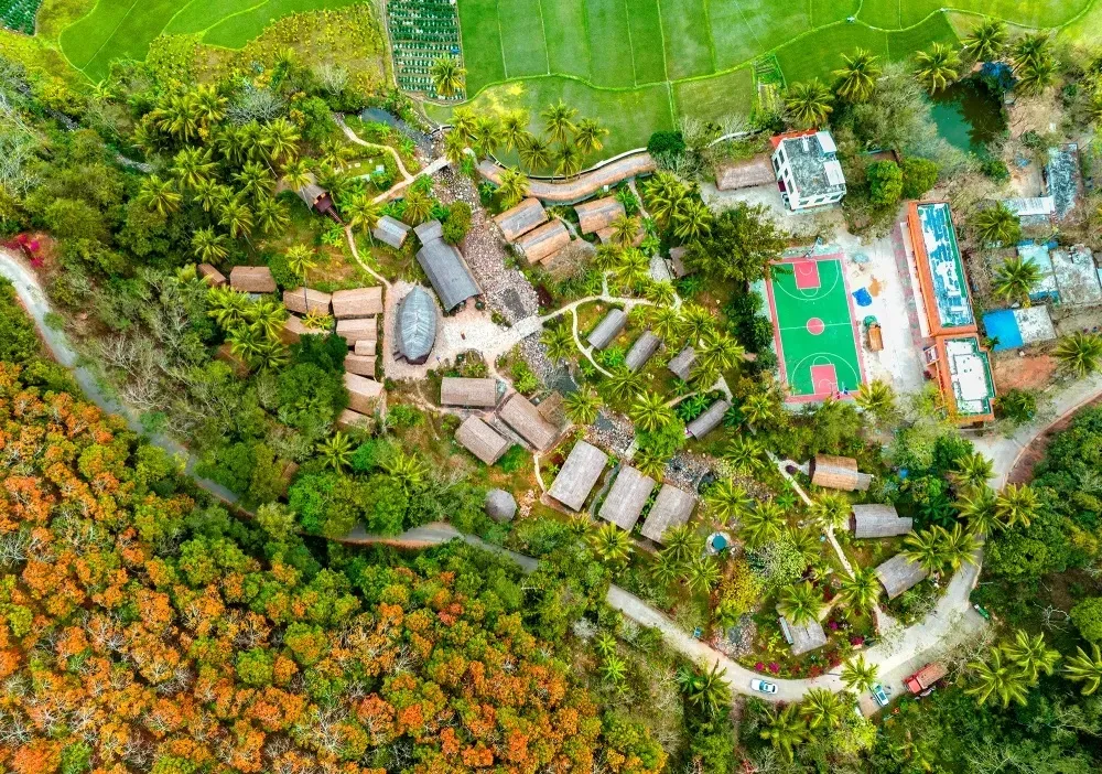 昌江支行助力洪水村文旅振興之路 昌江支行助力洪水村文旅振興之路