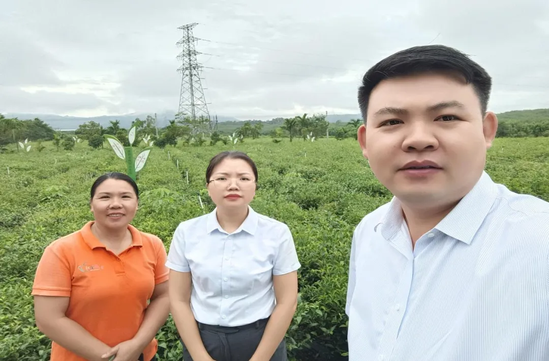 白沙支行:金融活水潤茶鄉(xiāng) 文旅融合煥新機 白沙支行:金融活水潤茶鄉(xiāng) 文旅融合煥新機