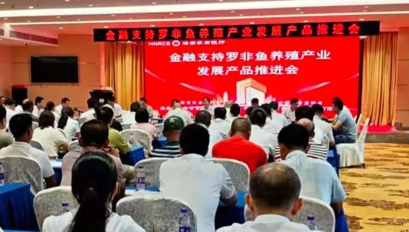 海南農(nóng)商銀行金融助力羅非魚特色產(chǎn)業(yè)躍向新高度