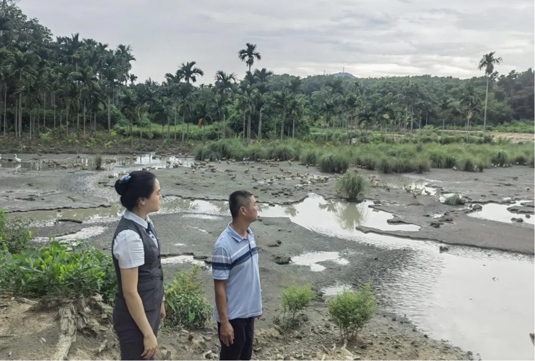 線上“及時雨”！屯昌支行運用“農(nóng)戶e貸”為農(nóng)戶紓困解難