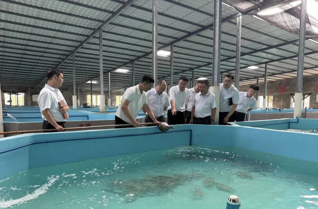 馮浩昆到陵水支行調(diào)研