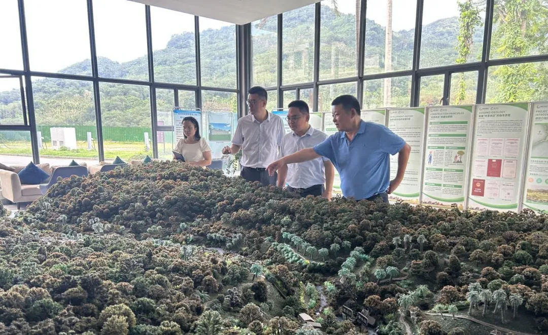 保亭金融監(jiān)管支局到保亭支行調(diào)研指導