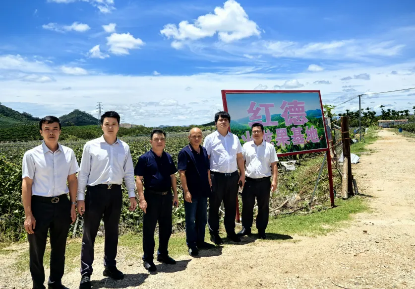 災(zāi)后重建 “加速度”！陵水支行多招齊發(fā)護(hù)航復(fù)工復(fù)產(chǎn)