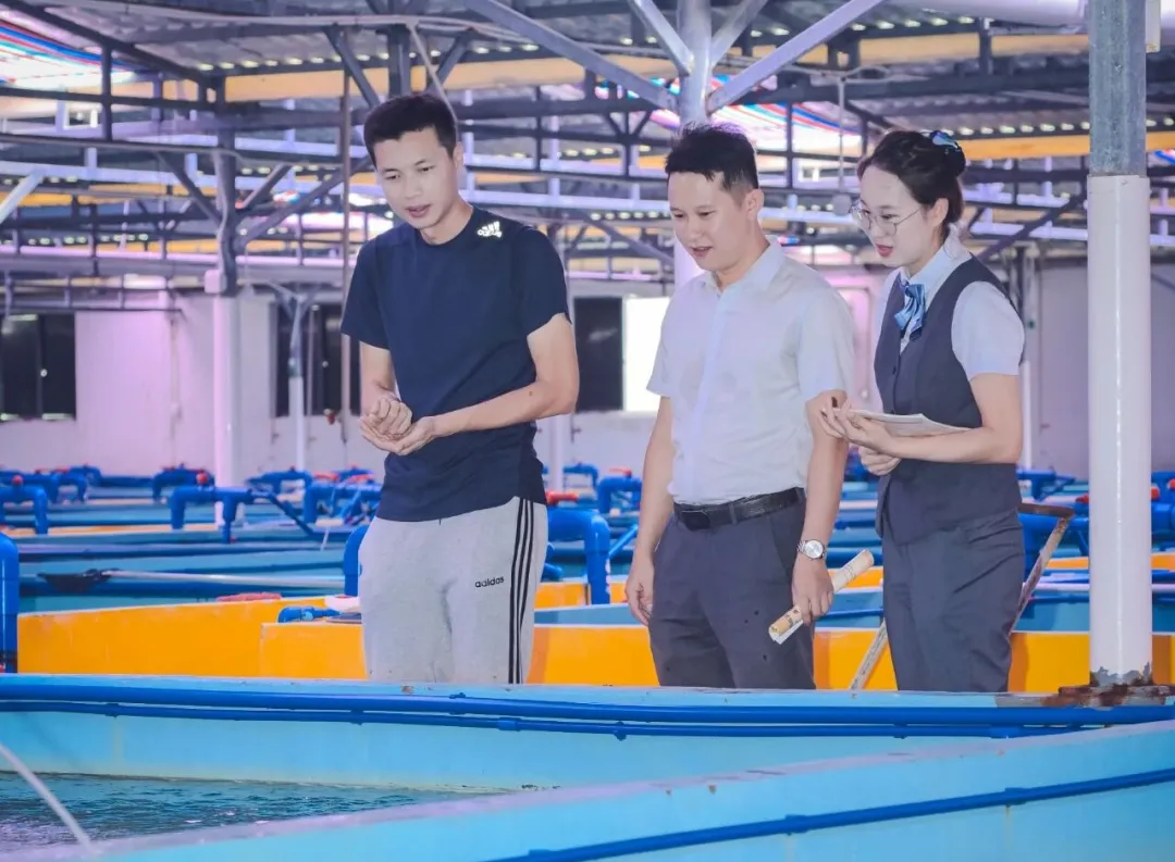 金超500億！微貸破50億！海南農(nóng)商銀行數(shù)字賦能鄉(xiāng)村振興成效亮眼