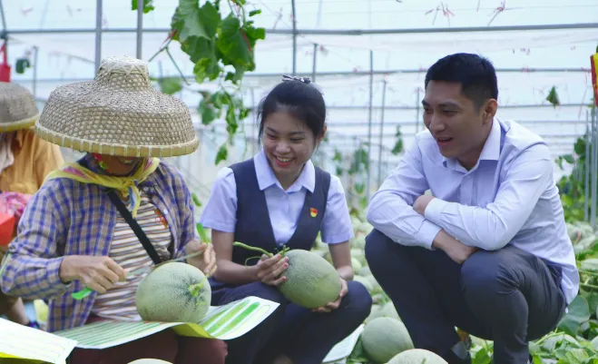 金超500億！微貸破50億！海南農(nóng)商銀行數(shù)字賦能鄉(xiāng)村振興成效亮眼