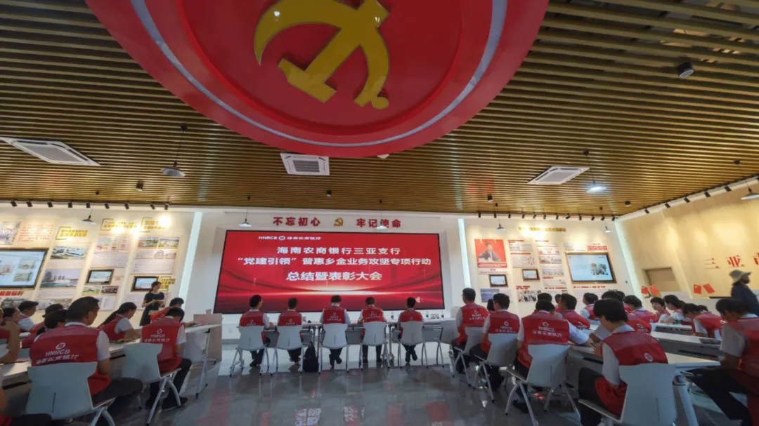 黨建領(lǐng)航破困局 三亞支行普惠攻堅行動交出亮眼答卷
