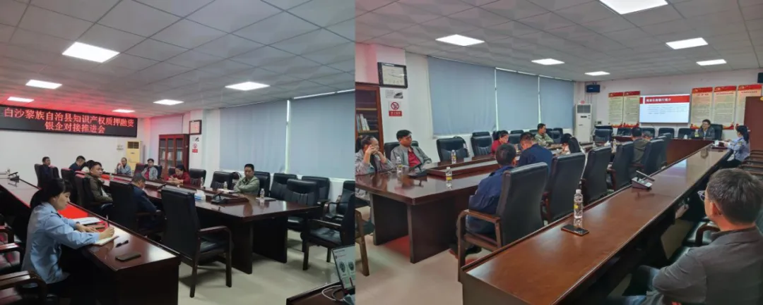 白沙支行：政銀企協(xié)同發(fā)力 破解科技企業(yè) “知產” 融資困局