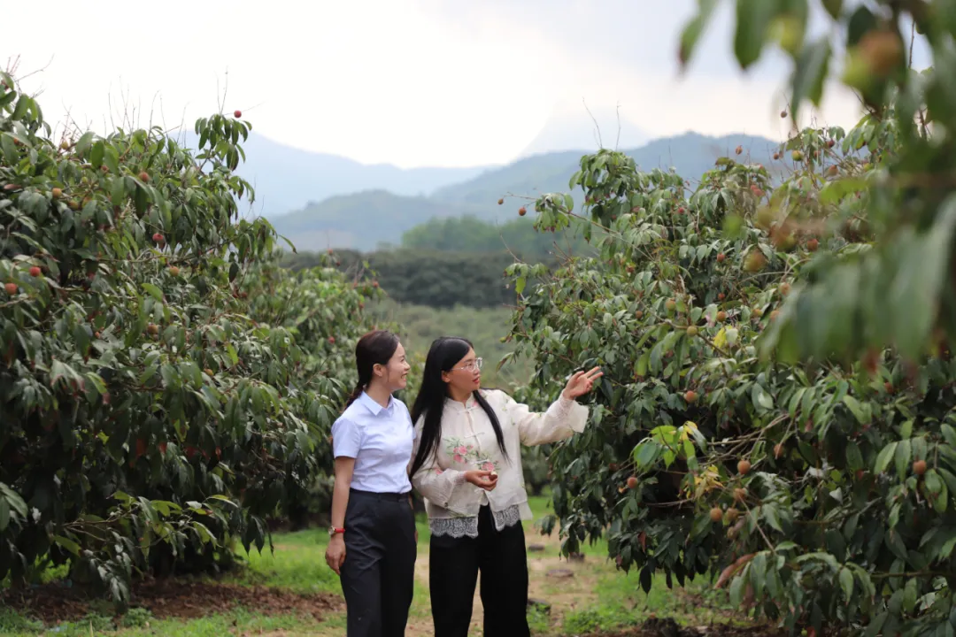 萬(wàn)寧支行：深耕綠色金融 助力繪就自貿(mào)港生態(tài)底色