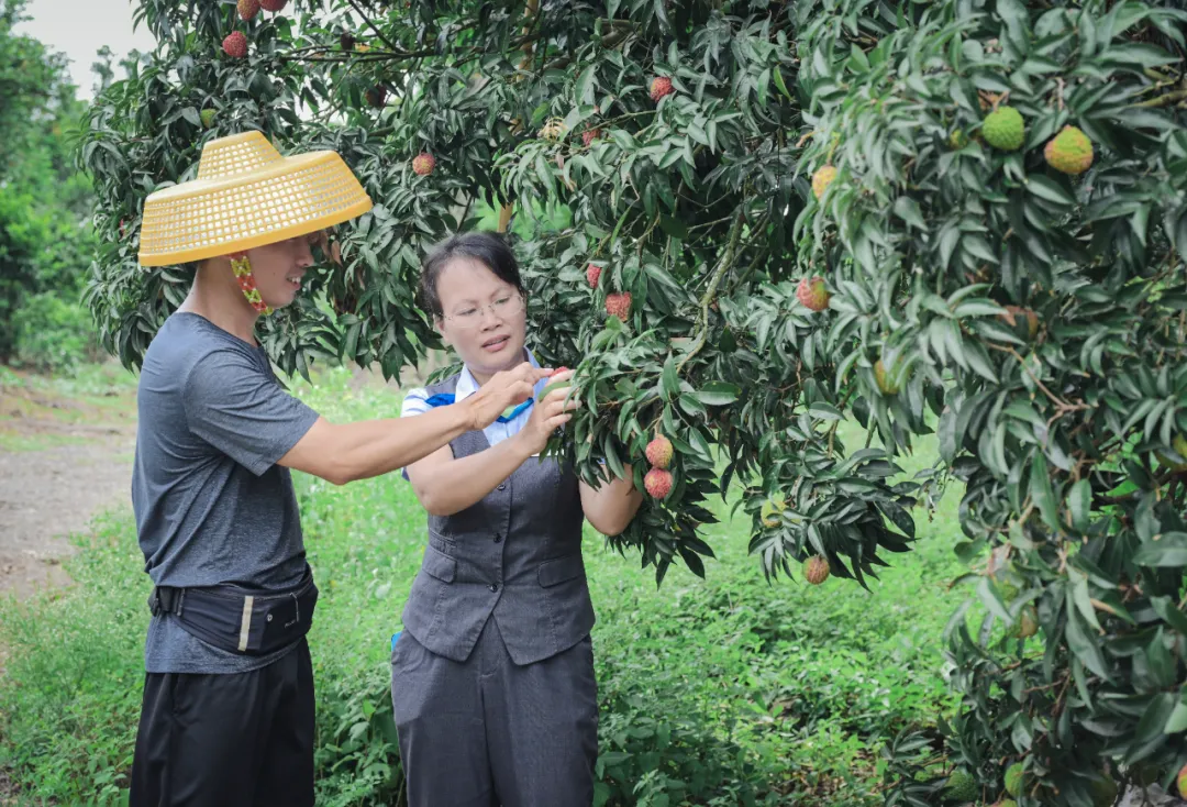 ?？谥幸杂埠藬?shù)據(jù)助力自貿(mào)港封關(guān)攻堅