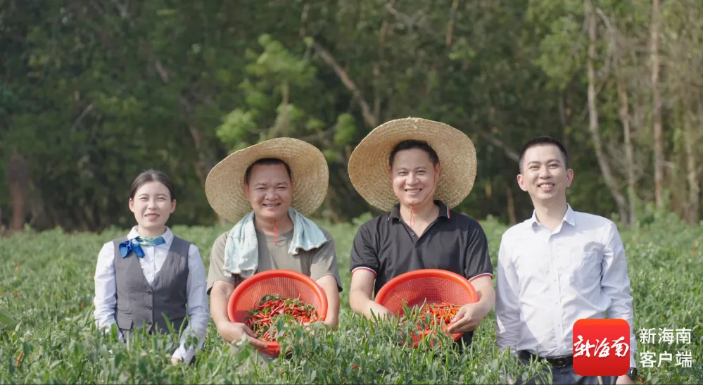 海南農商銀行：本土金融乘勢向前 共繪自貿港開放新圖景