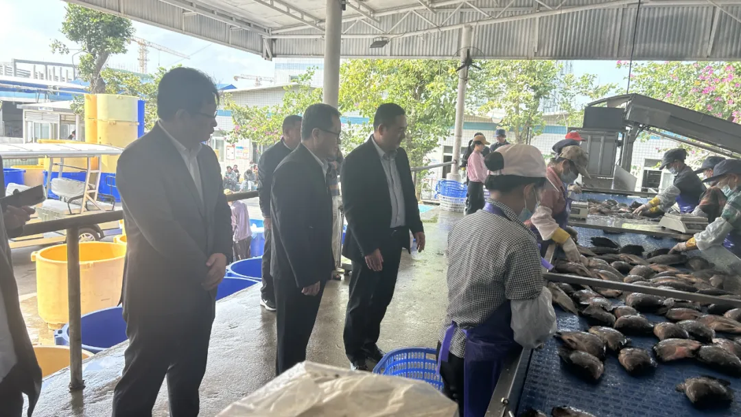 李曉剛拜訪海南翔泰漁業(yè) 共探銀企合作新路徑