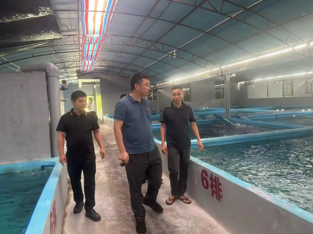 萬寧支行多維進階書寫時代答卷