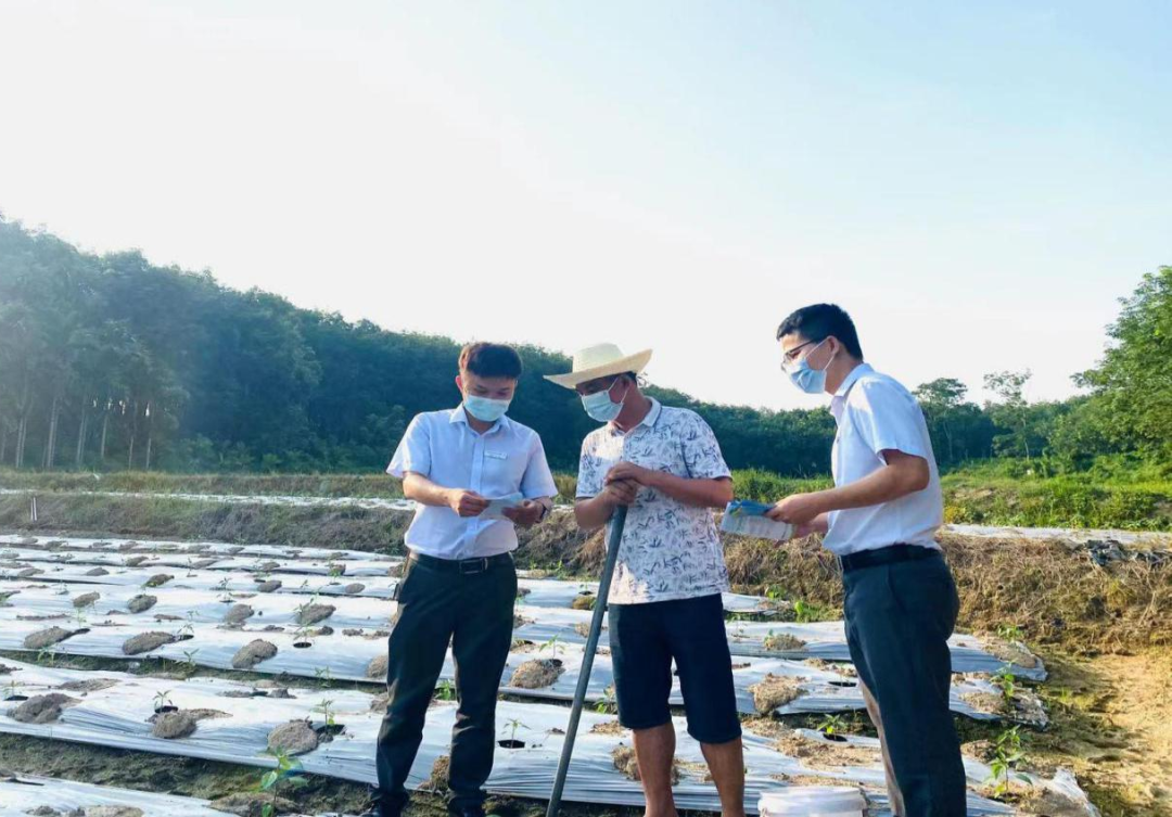 臨高支行：“藍(lán)色金融”涌動(dòng)縣域，“紅色引擎”賦能發(fā)展