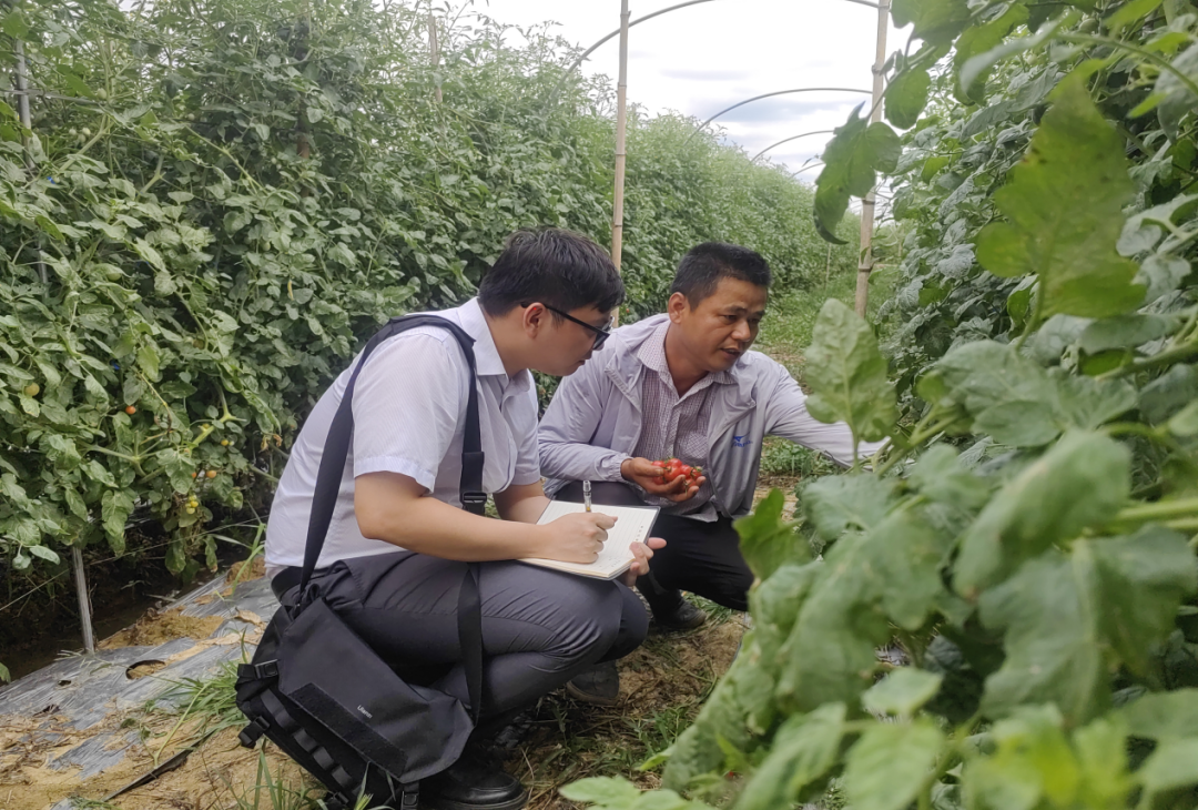 定安支行：黨建領(lǐng)航風帆勁 實干篤行譜新篇