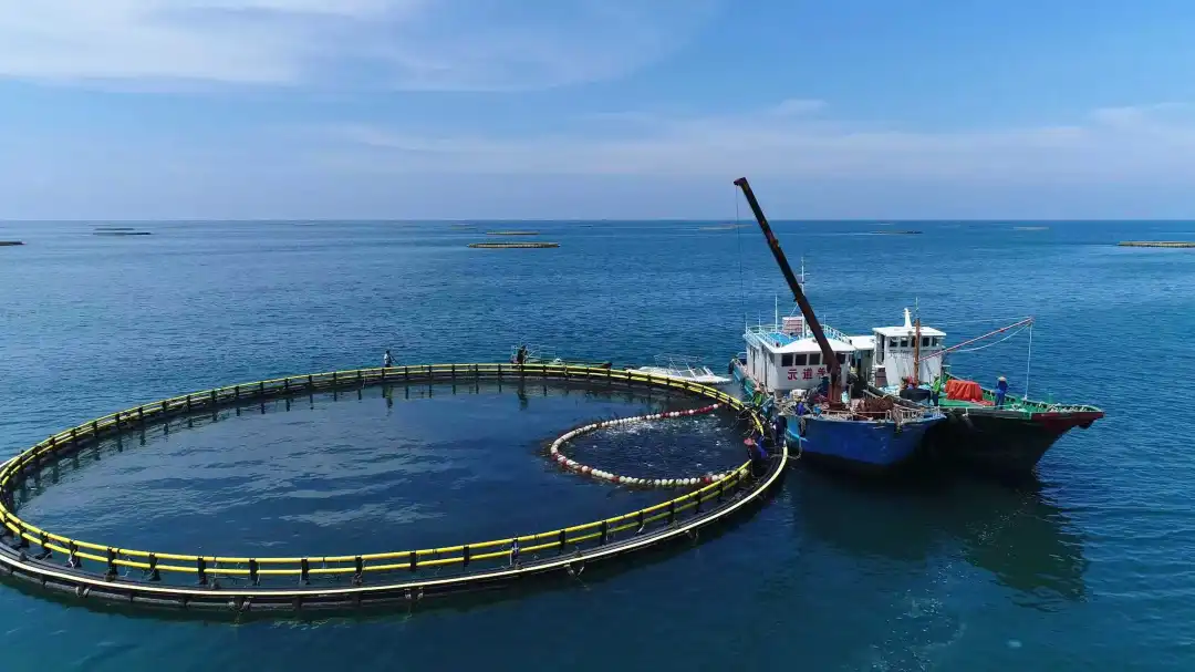 海南農(nóng)商銀行:潮涌南海明珠 向海圖強逐浪高 海南農(nóng)商銀行:潮涌南海明珠 向海圖強逐浪高