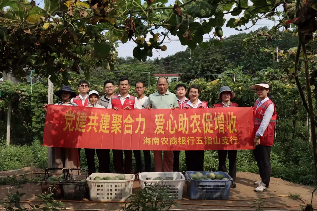 五指山支行：深耕山城擔(dān)使命 蓄勢(shì)賦能立新高