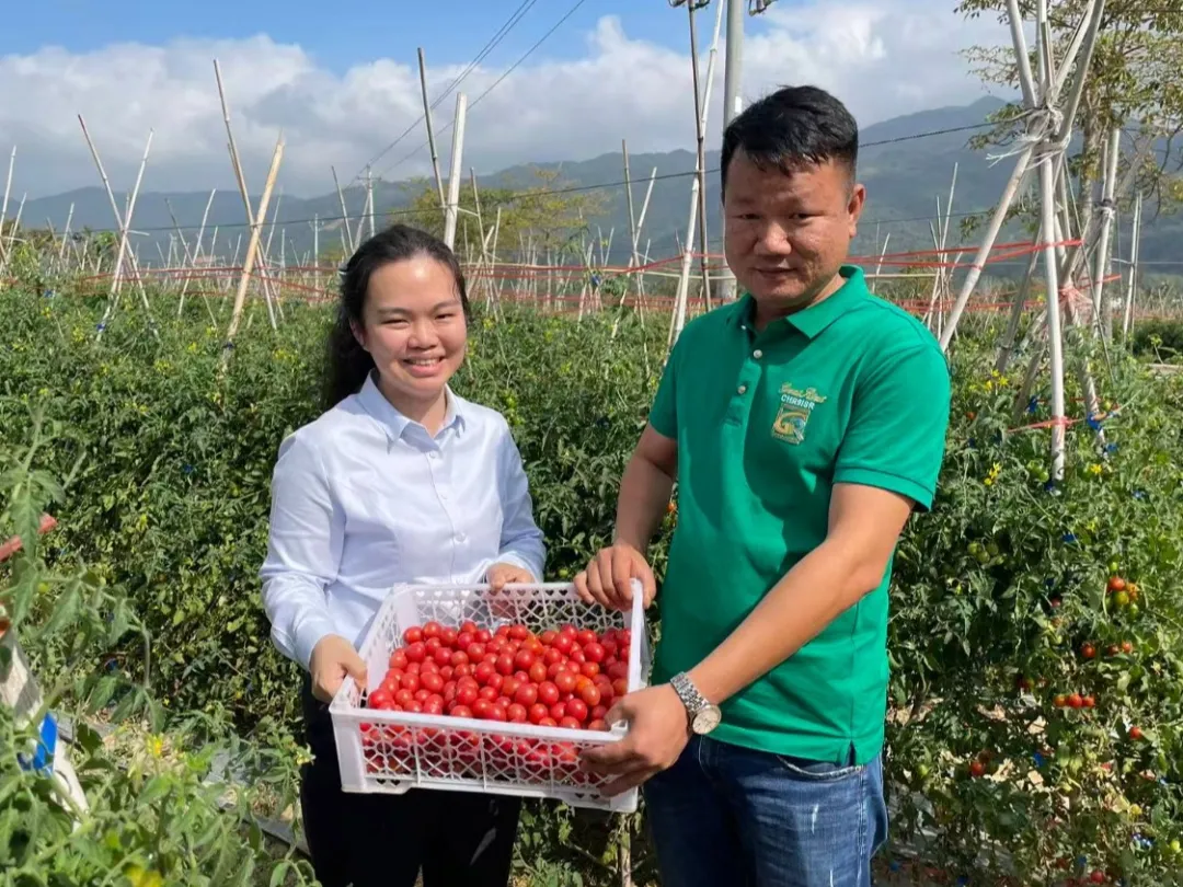 海南農(nóng)商銀行：金融為民暖新春 繪就民生新圖景