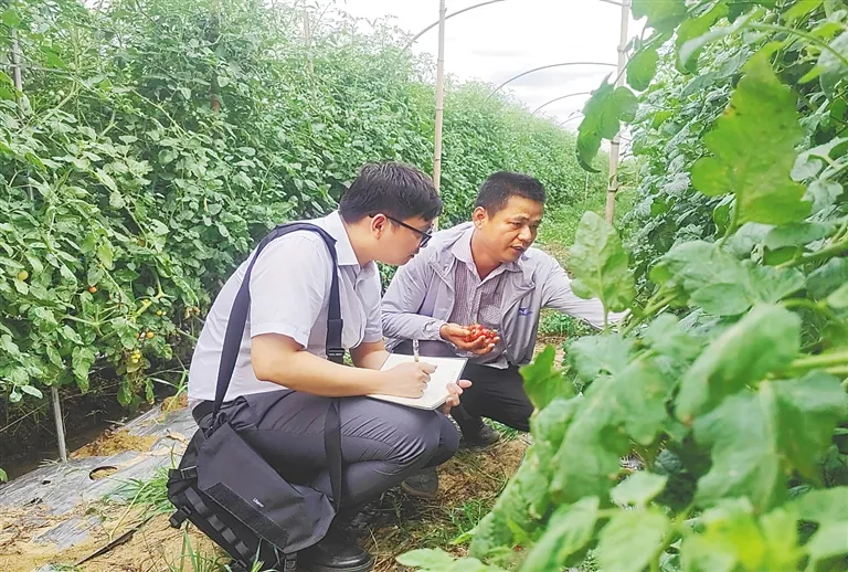 守牢主責(zé)主業(yè)，提供高質(zhì)量金融服務(wù) 海南農(nóng)商銀行：改制兩載顯擔(dān)當(dāng)